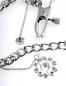 Preview: FFS Crystal Nipple Clamps