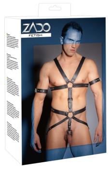 Harness