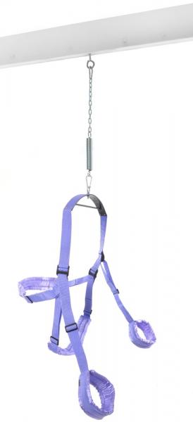 FFS Fantasy Swing Purple