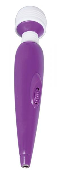 Women's Spa Mini Massager