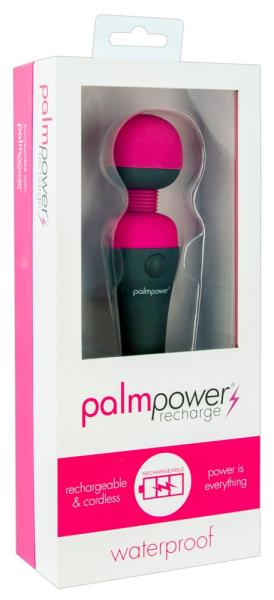 PalmPower Body Massager